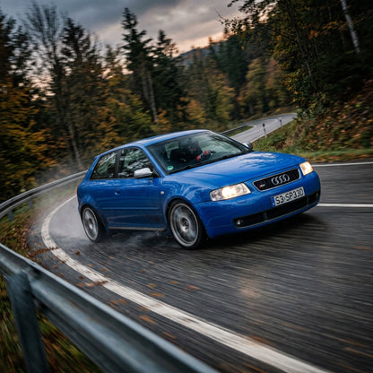 Action Shot: Audi S3 Driving Fast