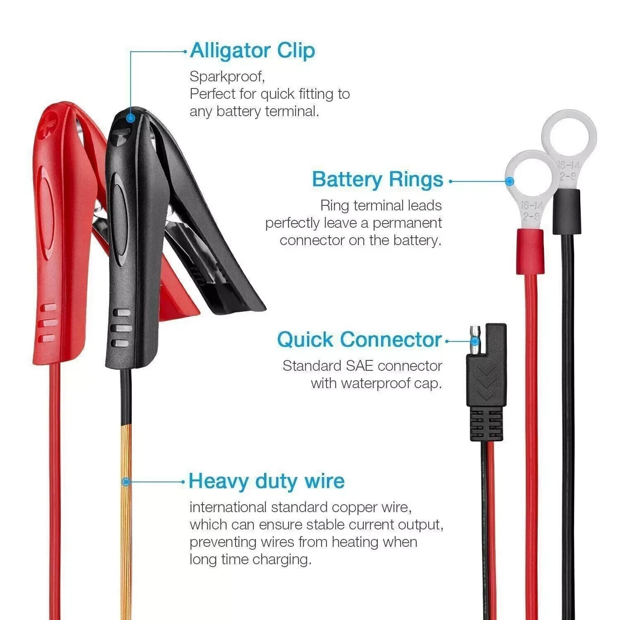 6V 12V Automatic 2.0 Amp Battery Charger for Car Motorcycle Car ATV