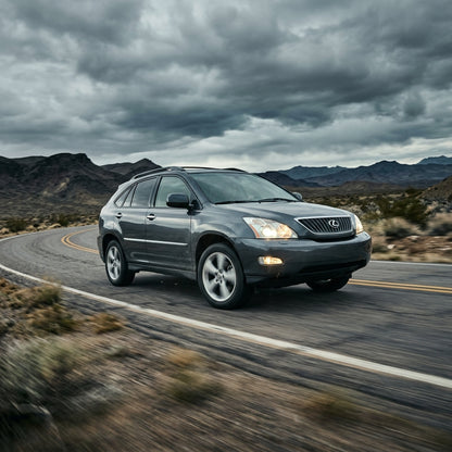 Action Shot: Lexus RX