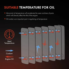 Oil Cooler Kit for Ford F150 F250 F350 & E250 E350 (1984-1994) 6.9L 7.3L Diesel Engine  