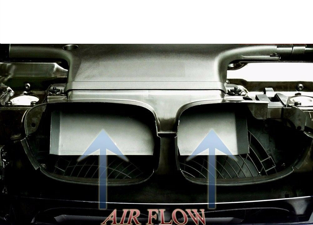 Ram Air Intake Scoops for BMW E46 M3 (2001-2006) with 3.2L Engine
